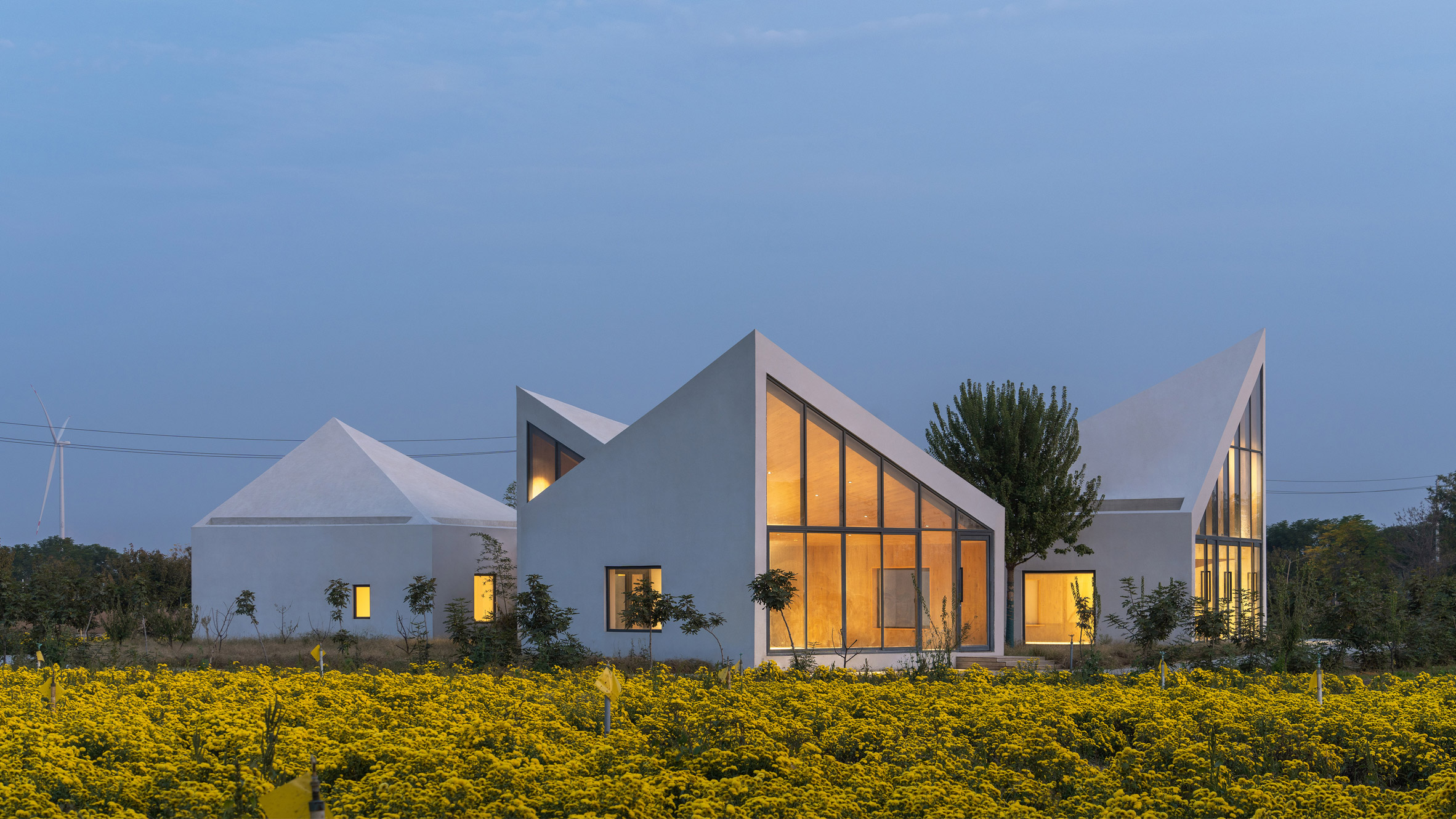 Atelier Xi creates angular library within Chinese tea plantation - Vimarsana News