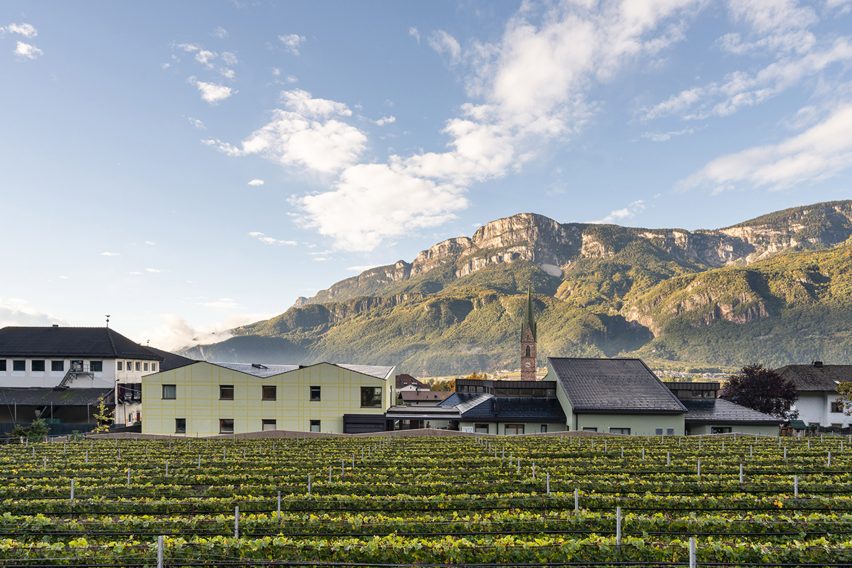Tartan School extension with its neighbouring vineyard