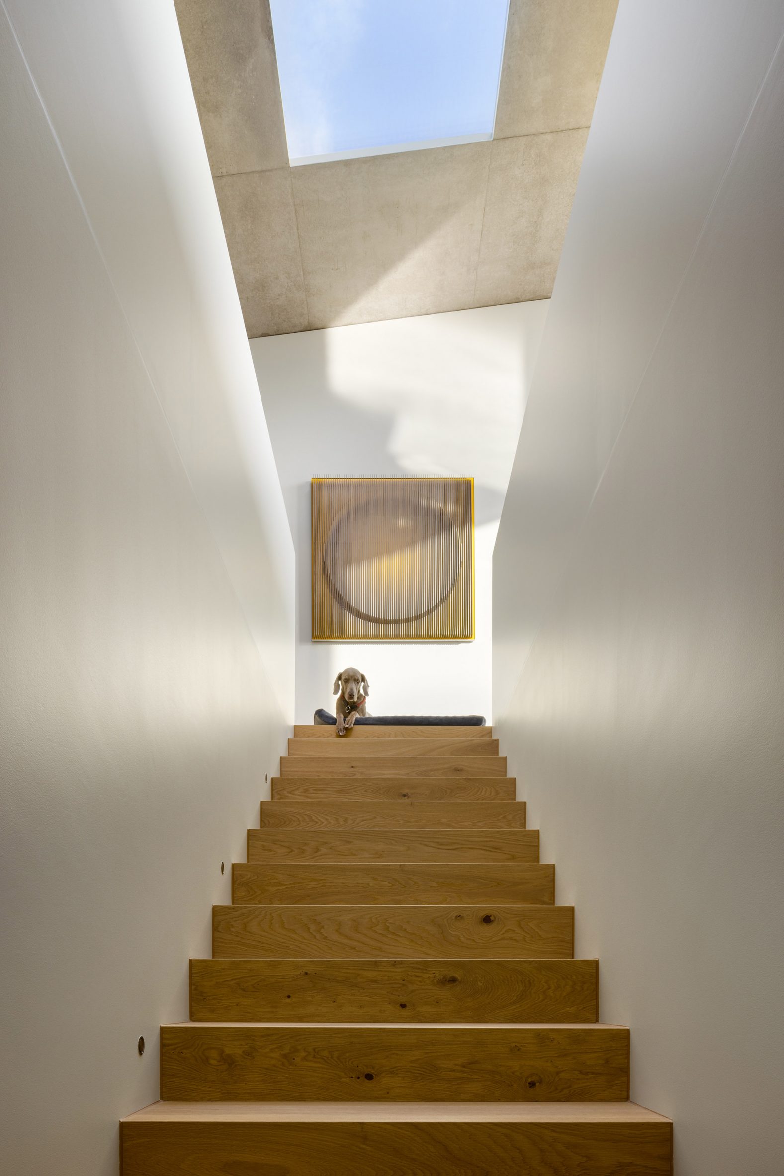 Wooden staircase within Switzerland villa by PPAA