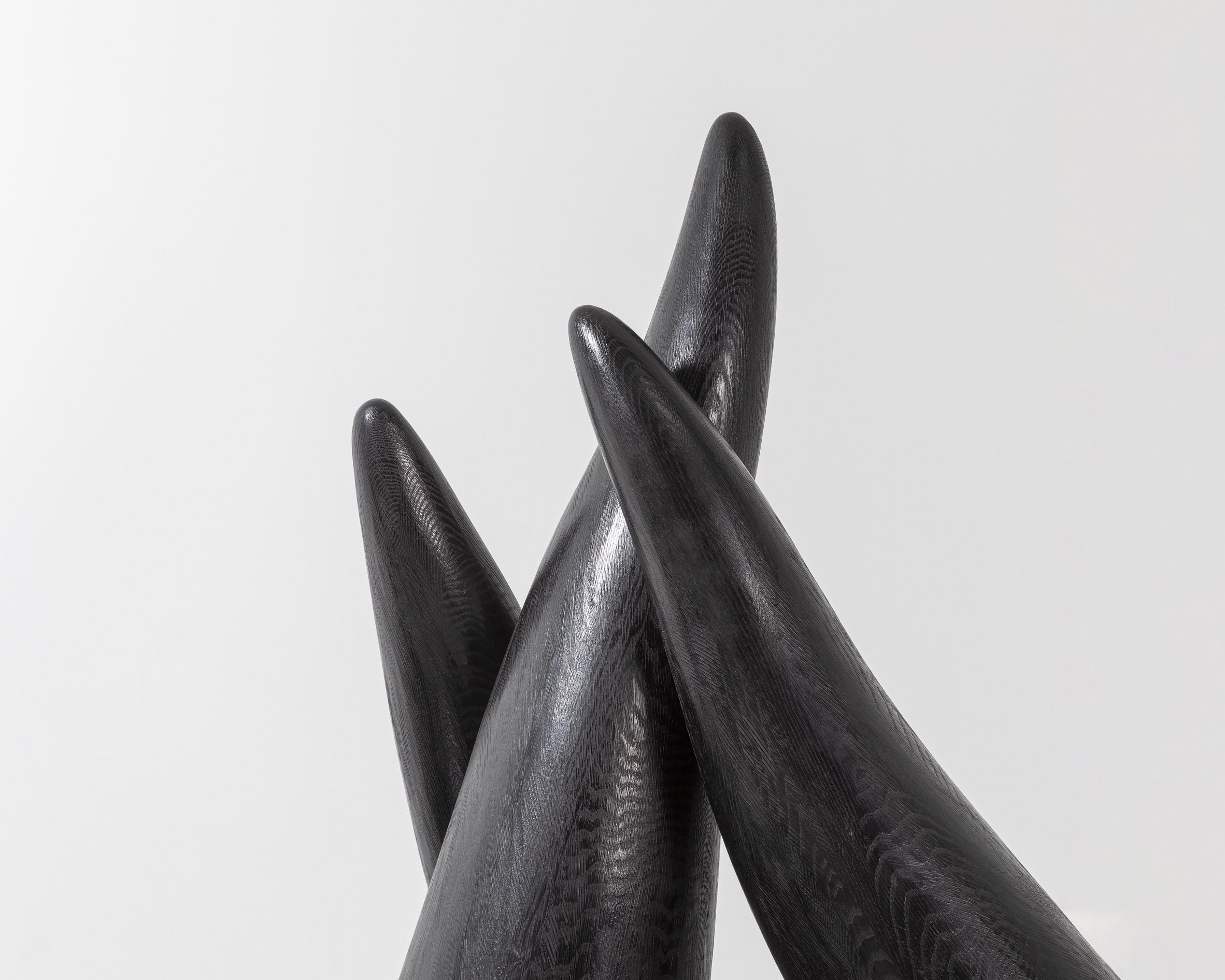 Close-up photo of tentacle-like ends on a smooth, black sculpture
