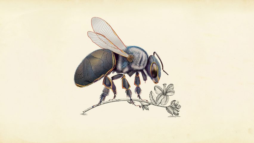 Illustration of a bee and flower