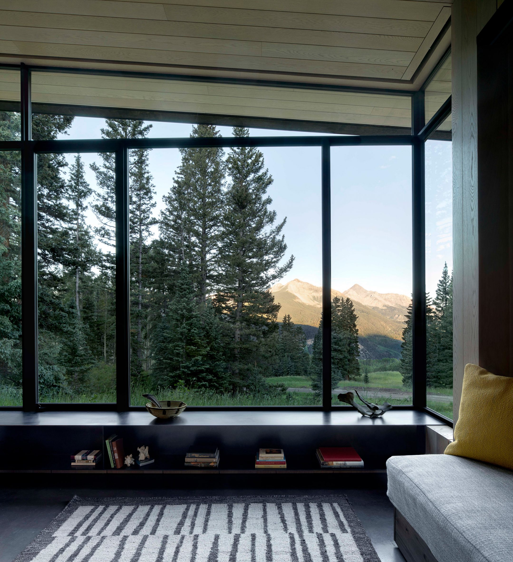 Living space with tree view