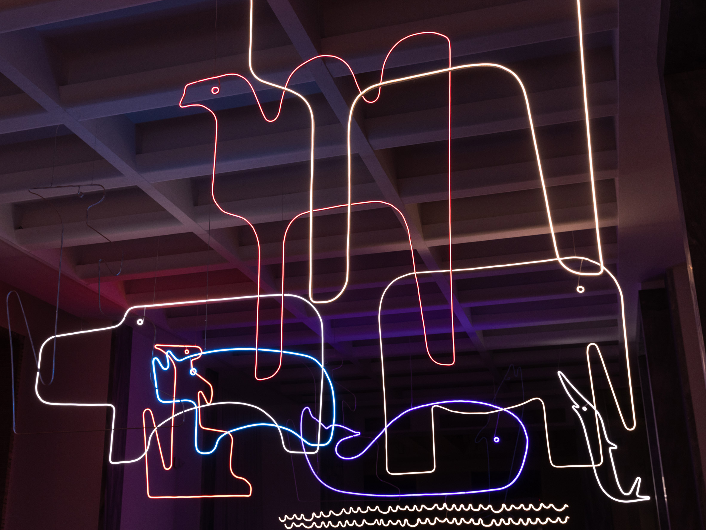 Neon outlines of animals suspended from the ceiling