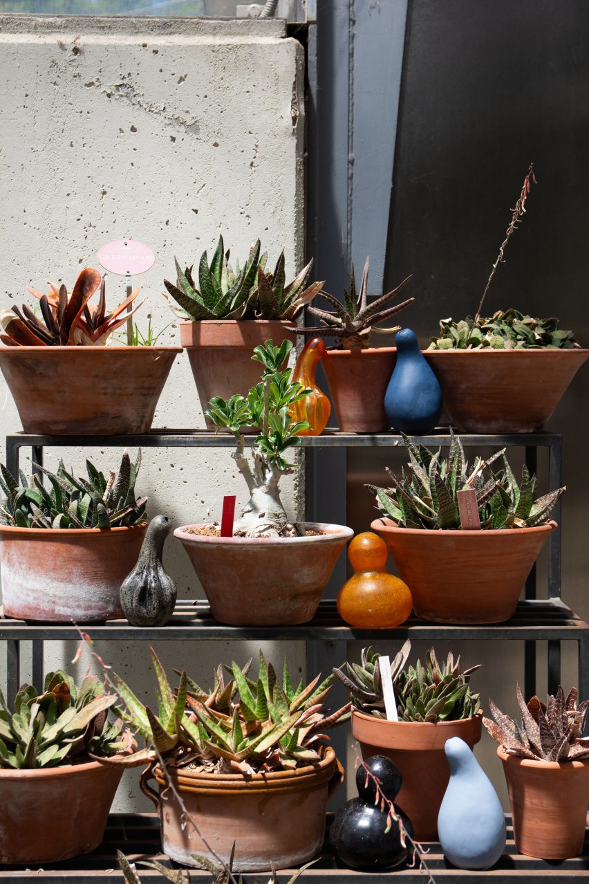 A shelf with plants on it as well as watering devices