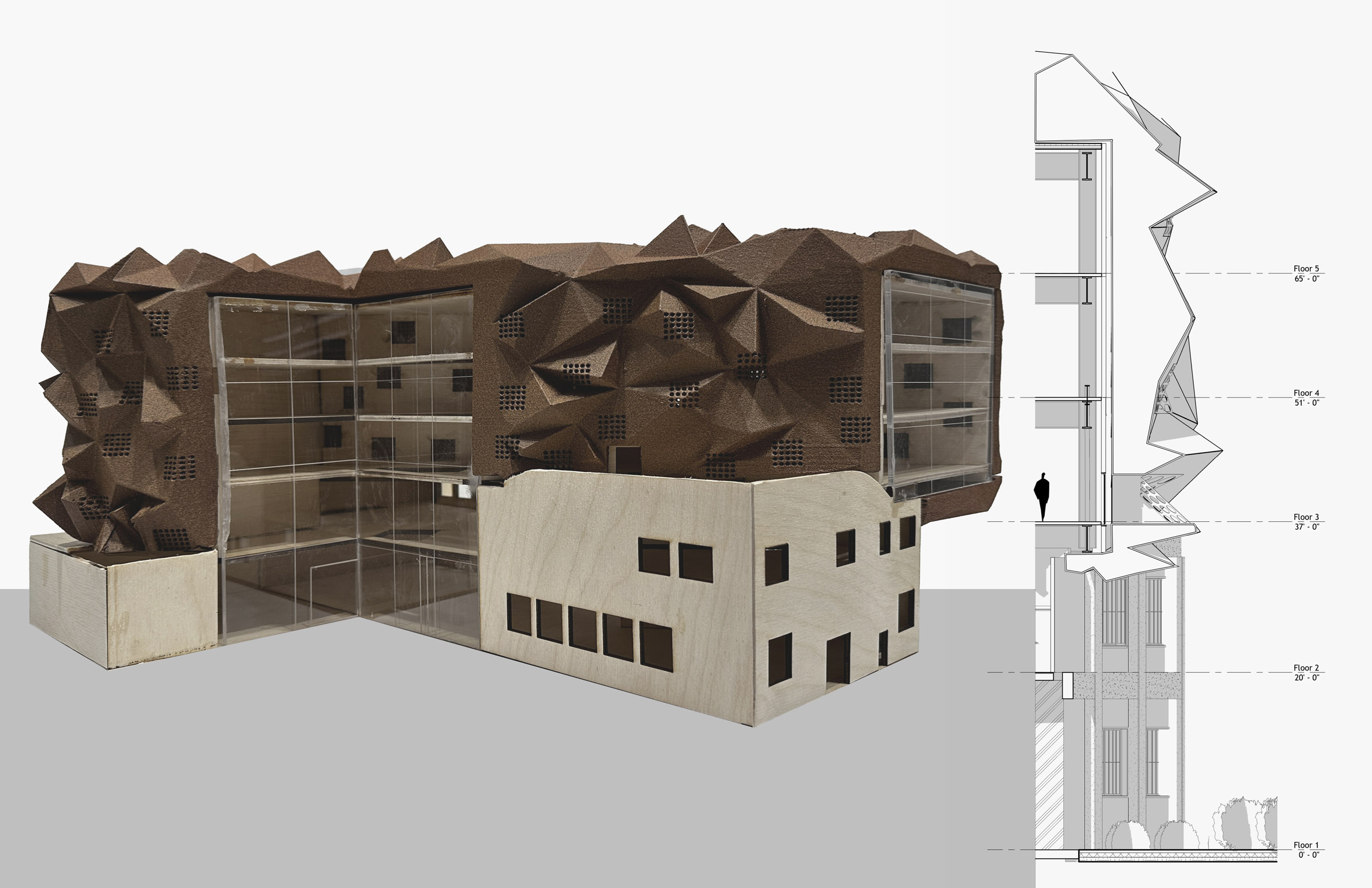 Architectural model beside a sectional view of a multi-storey building
