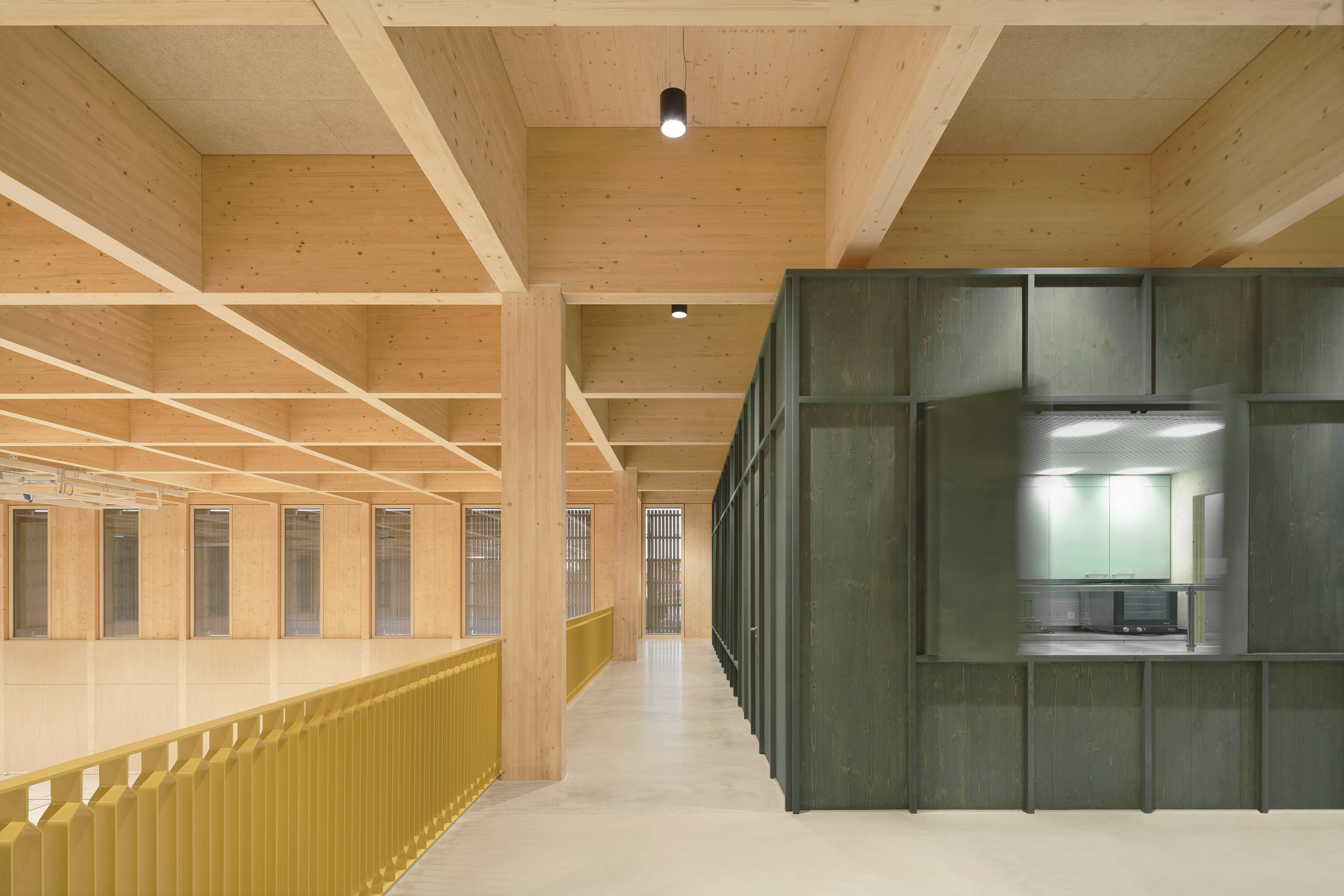 Interior of the Markolfhalle Markelfingen multipurpose hall by Steimle Architekten