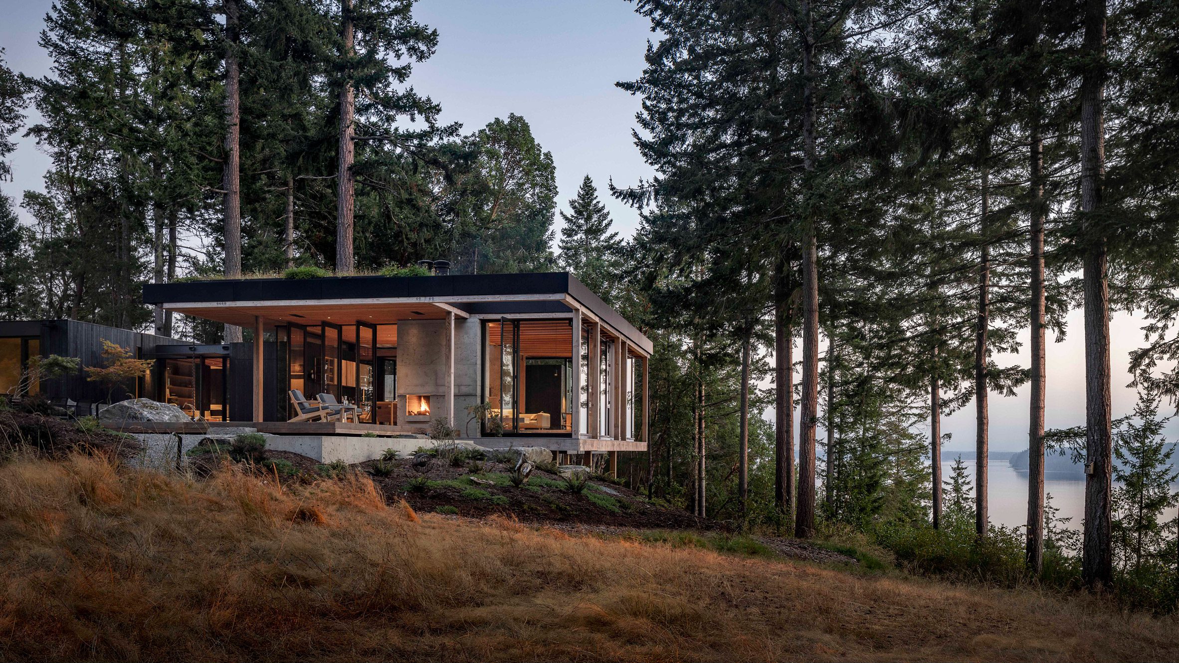 MW Works designs Longbranch house to blend with its forested setting - Vimarsana News