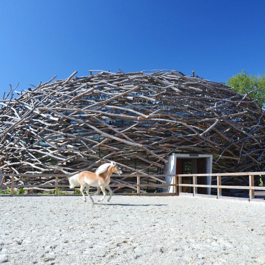 Nest-shaped architecture