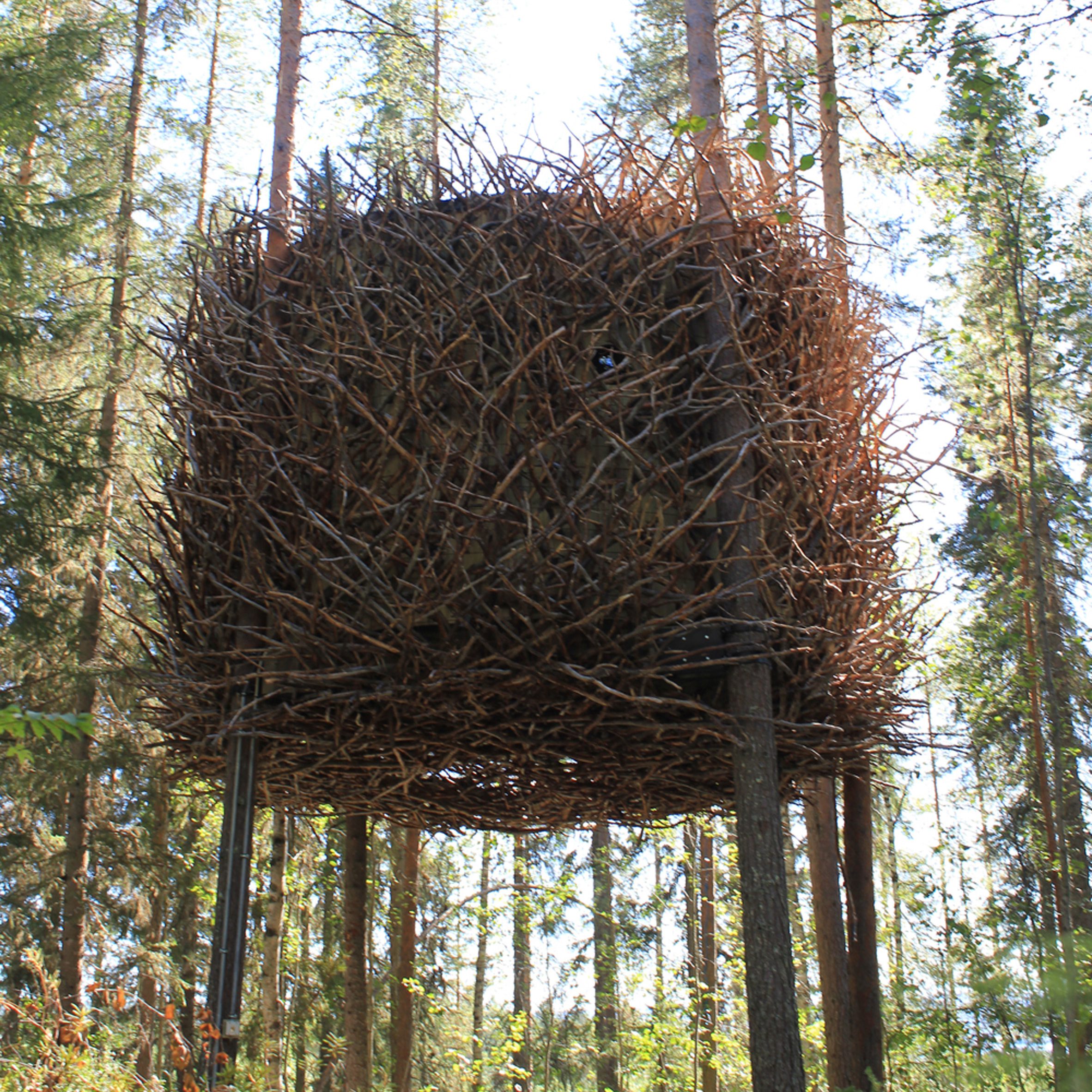 Nest-shaped treehouse