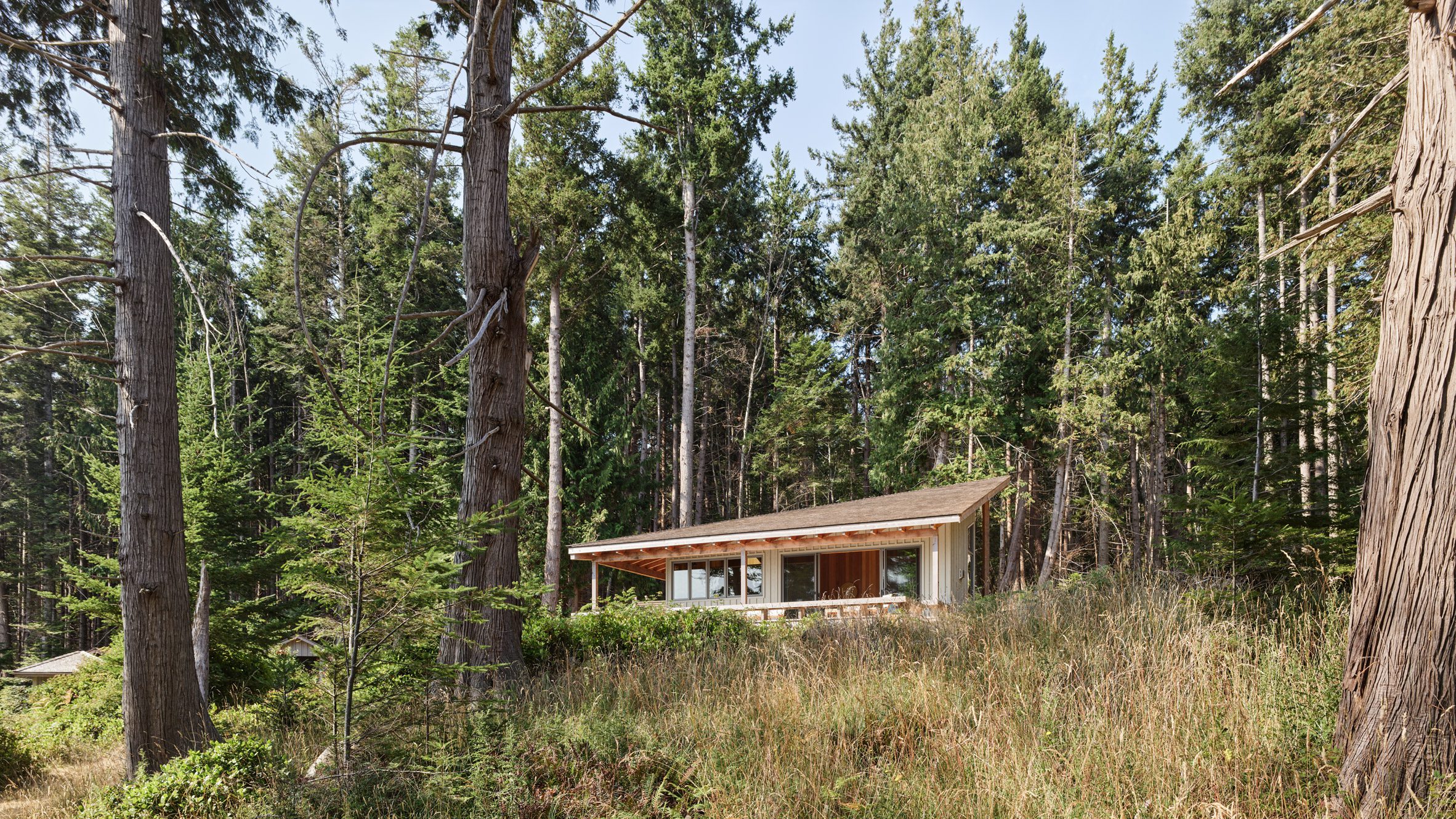 A cabin on a hill surrounded be trees