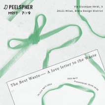 Graphic for Peelsphere's The Best Waste launch