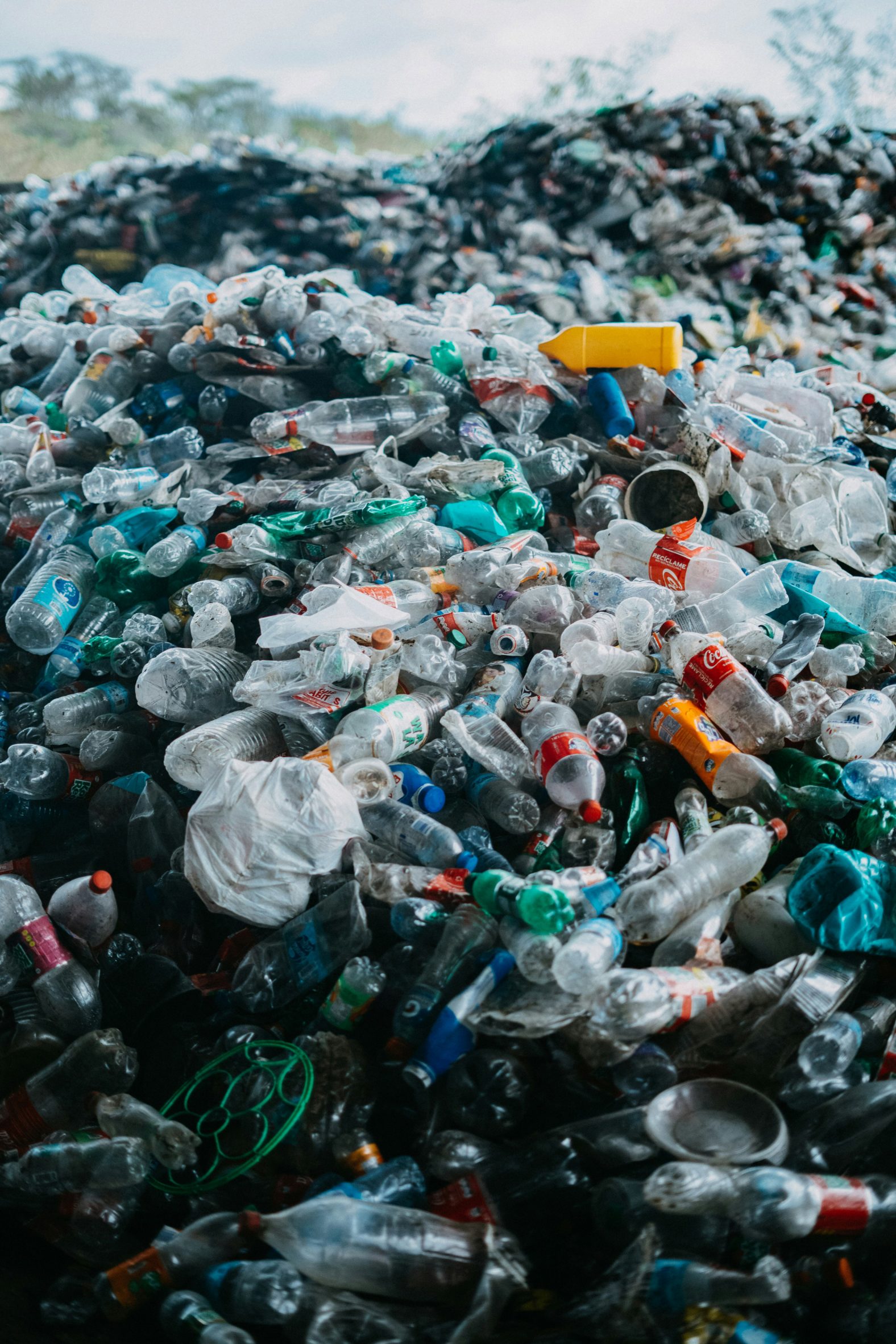 Photo of a large pile of plastic bottles and cans at a recycling facility in Santiago de los Caballeros, Dominican Republic
