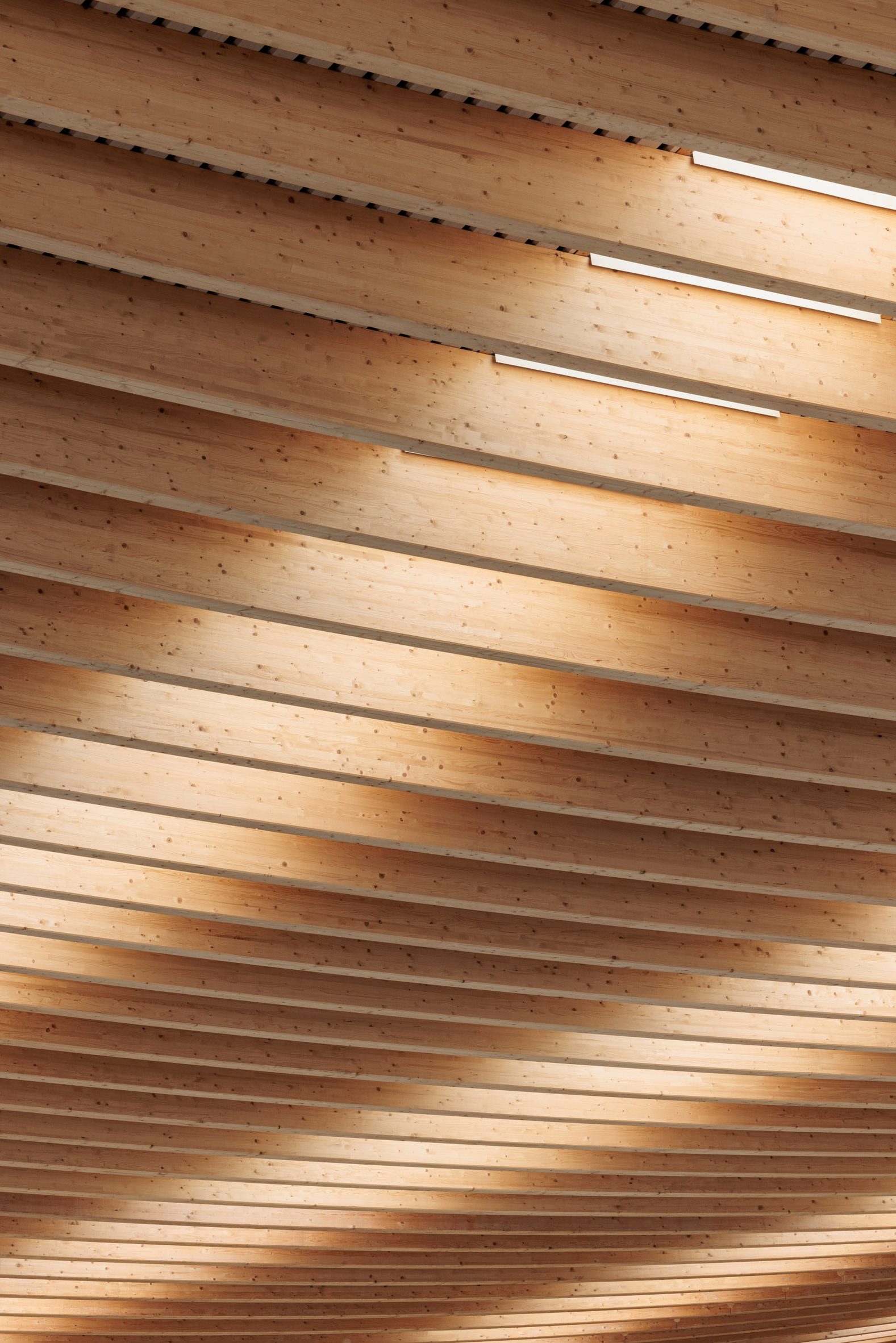 Timber ceiling of the Aquatics Centre for the Paris 2024 Olympic Games