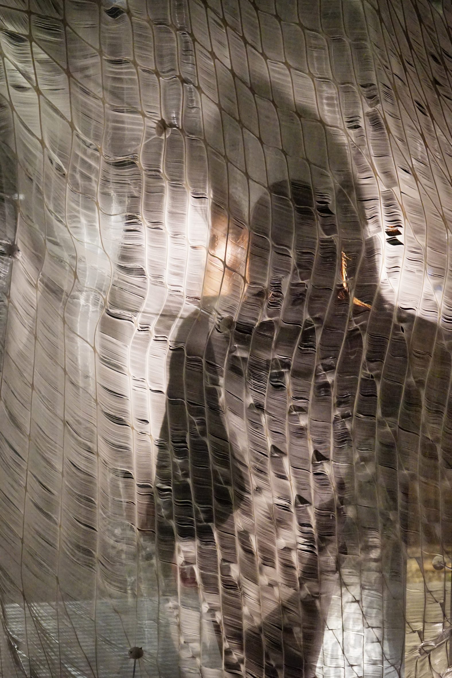 Photograph of a figure behind a translucent piece of fabric