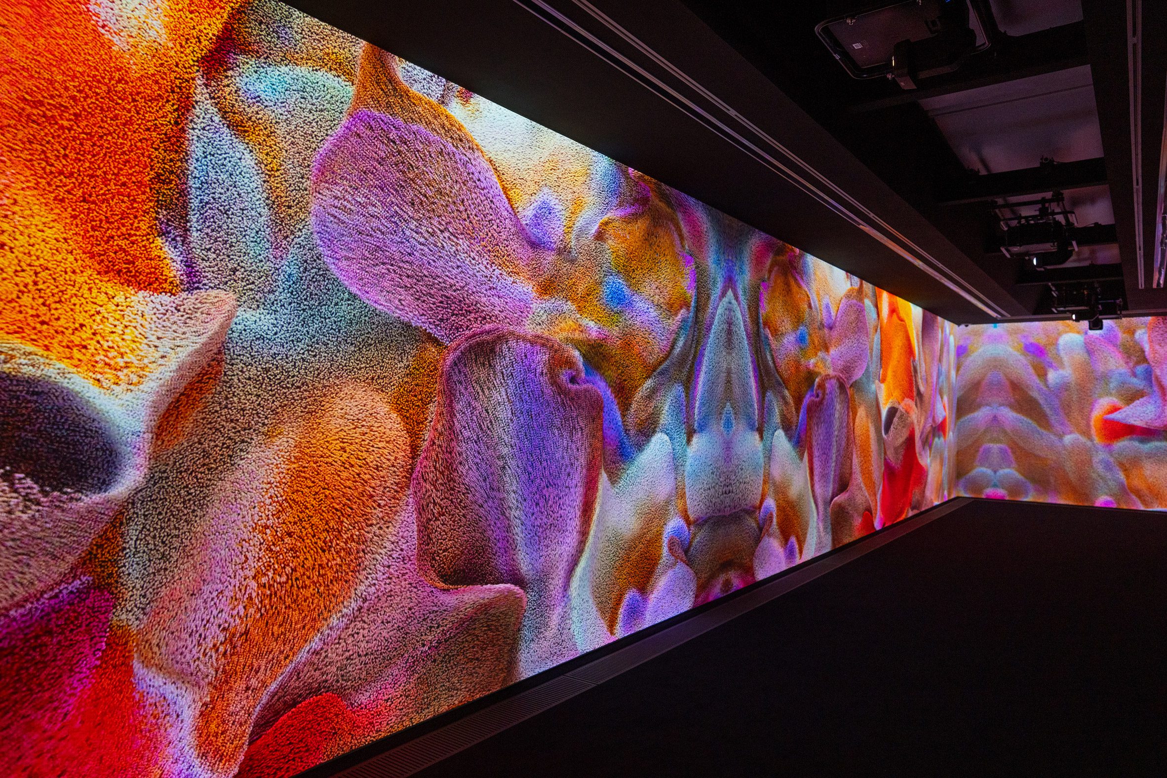 Multicoloured image projected onto a wall