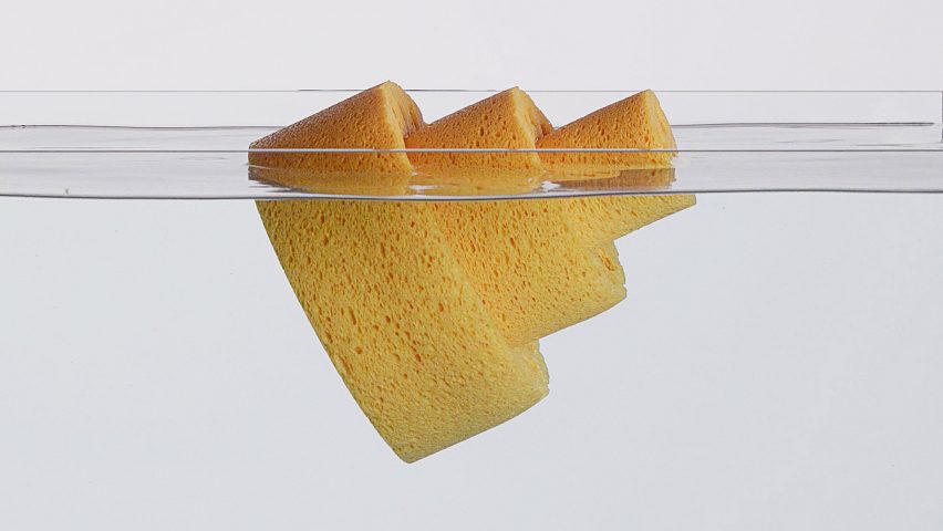 Photo of a piece of sponge floating on the water surface
