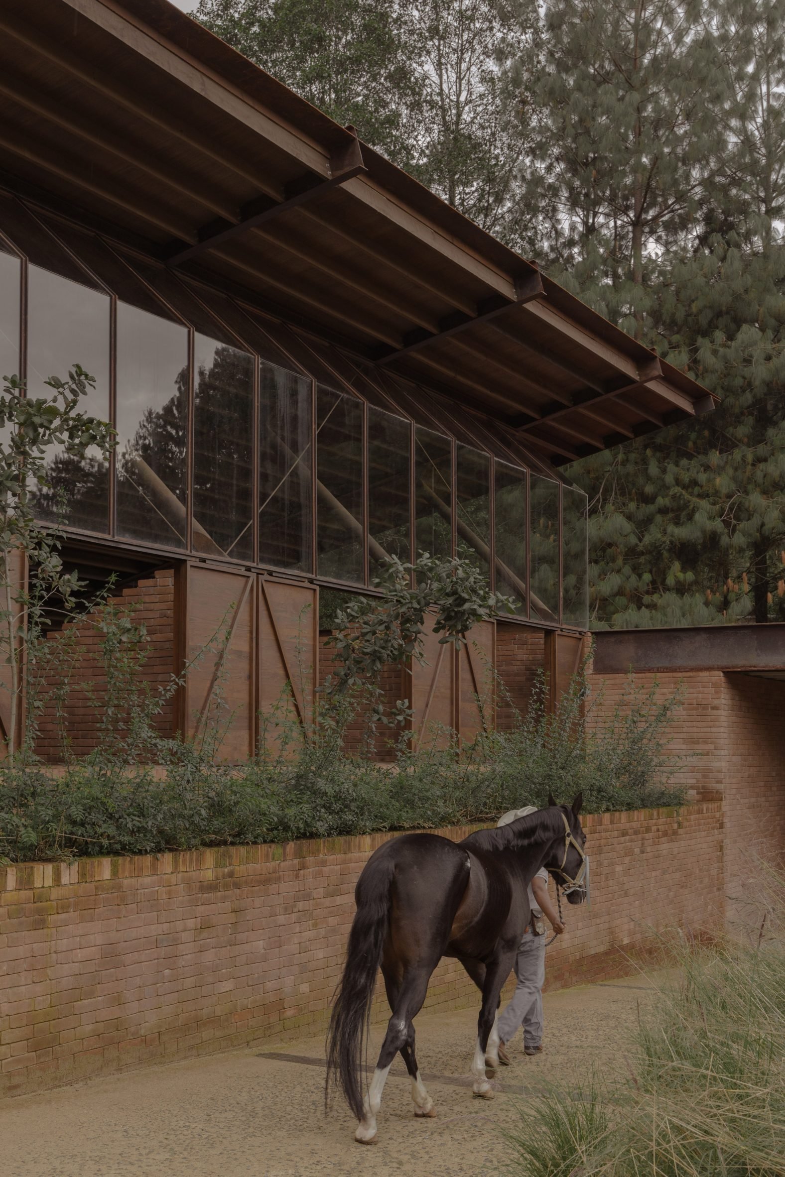 Horse led along a pathway in front of a stable building