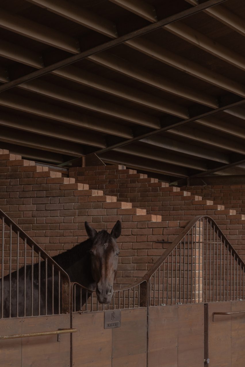 اسب سرش را روی دروازه فلزی داخل اصطبل فرو می برد
