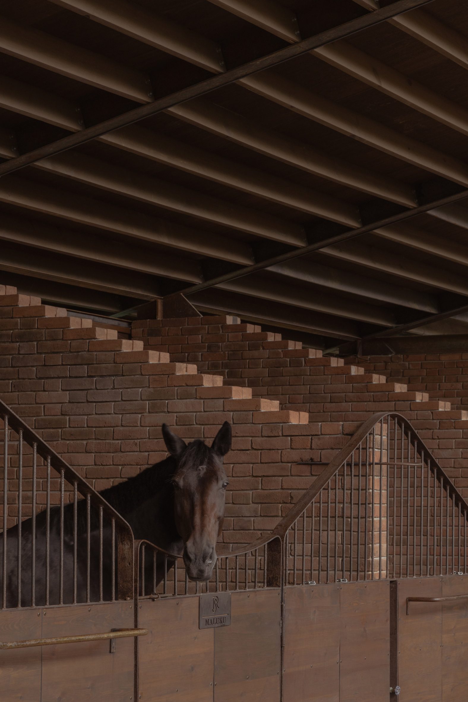 Horse pokes its head over a metal gate inside the stables
