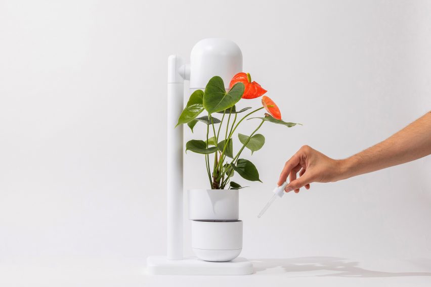 Person using the Grow Lamp by Moss 