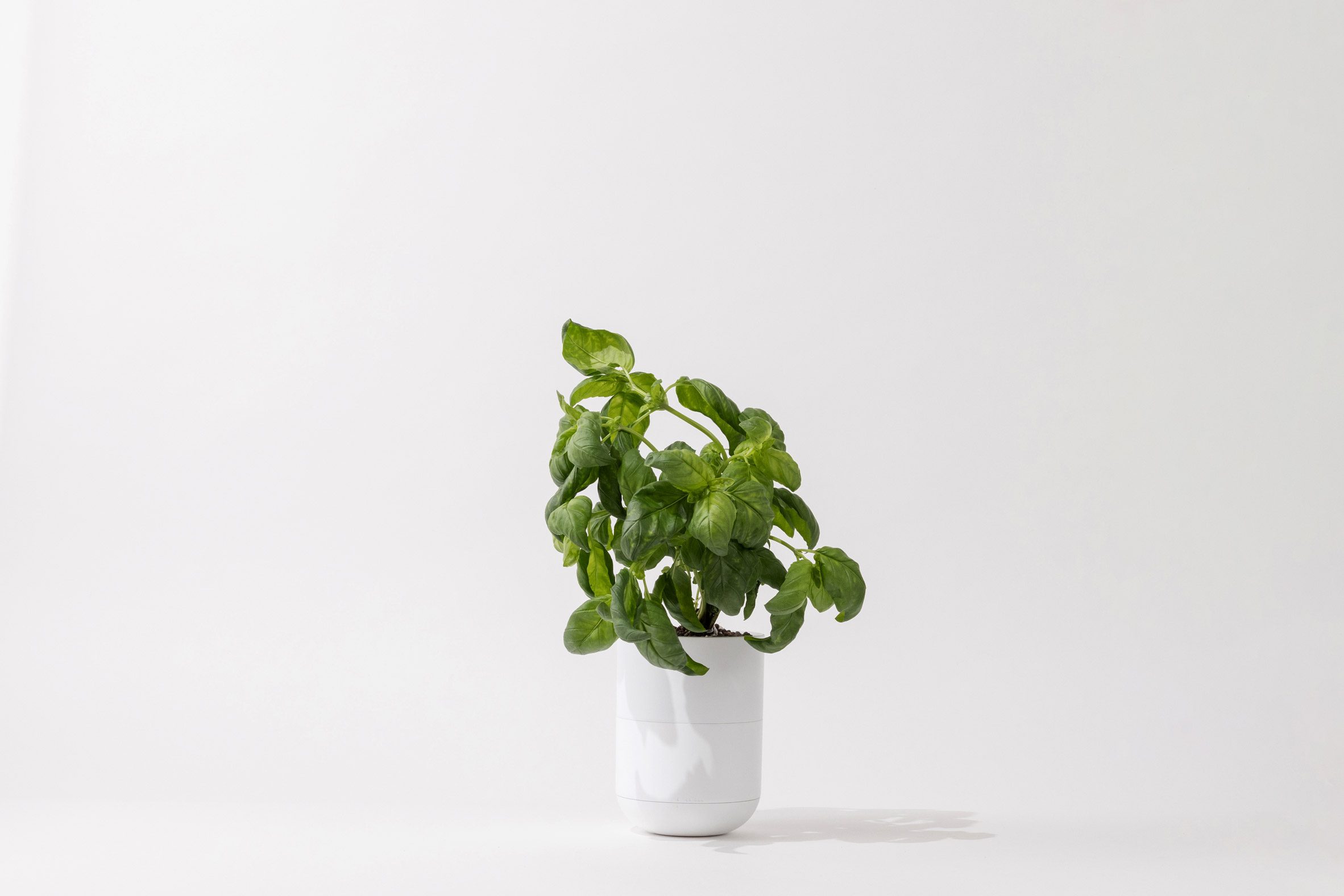 Grow Lamp's self-watering planter