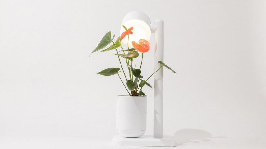 Grow Lamp by Moss