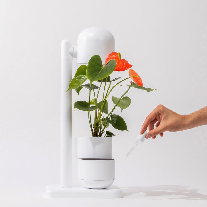 The Grow Lamp by Moss filled with flowers