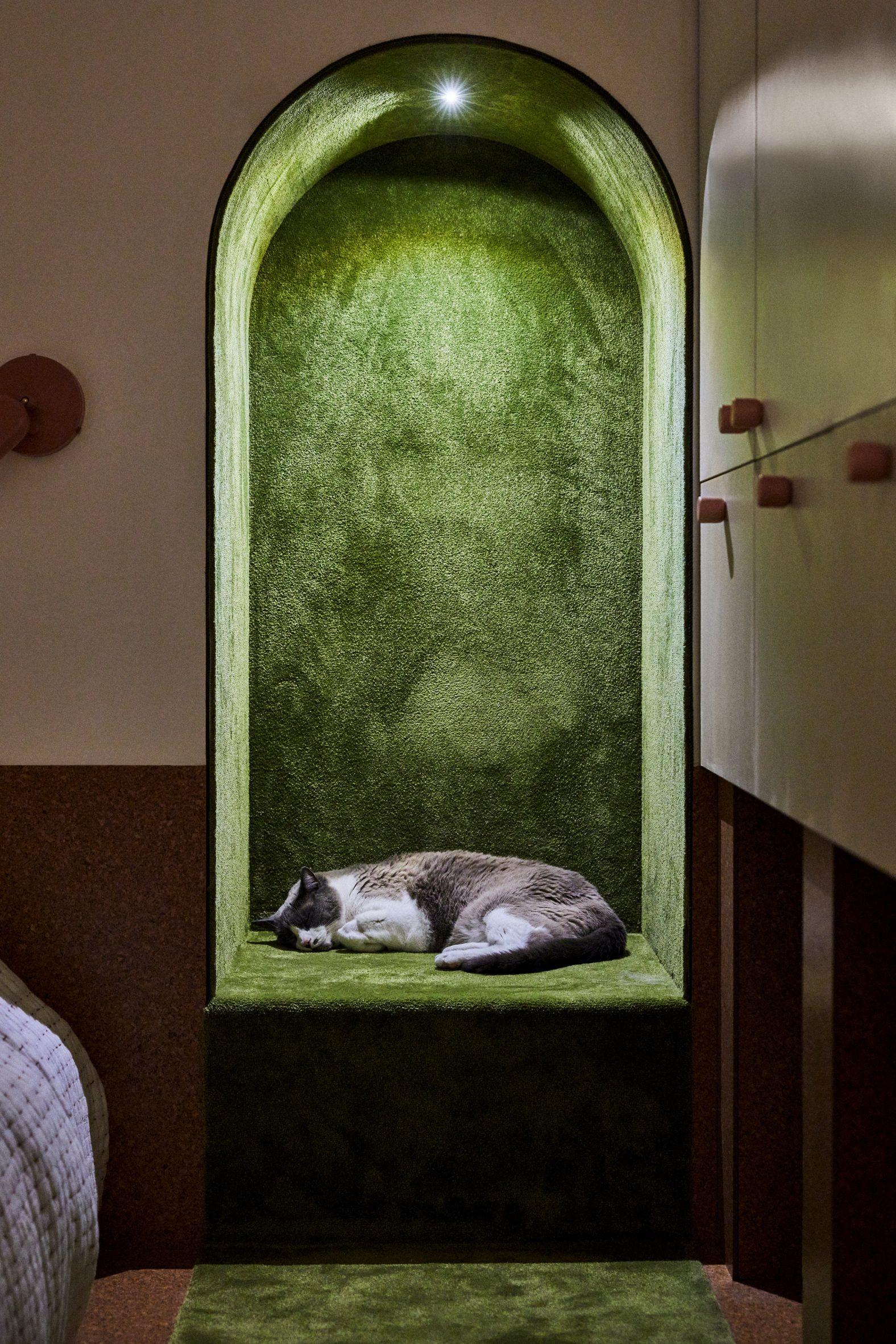 An arched niche lined with green carpet, with a cat napping inside