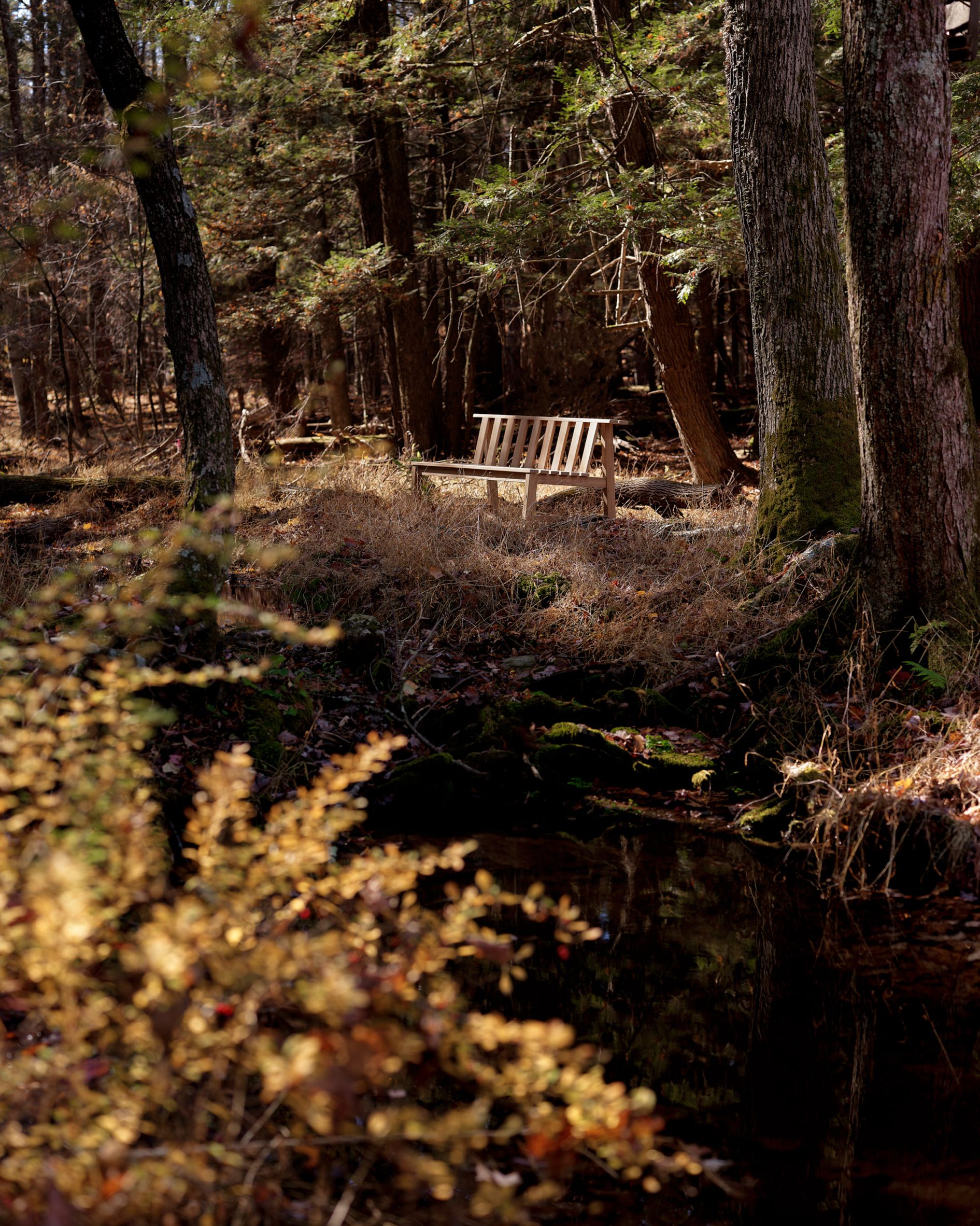 Chair in forest