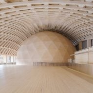 Elding Oscarson creates CLT dome theatre inside Swedish museum extension