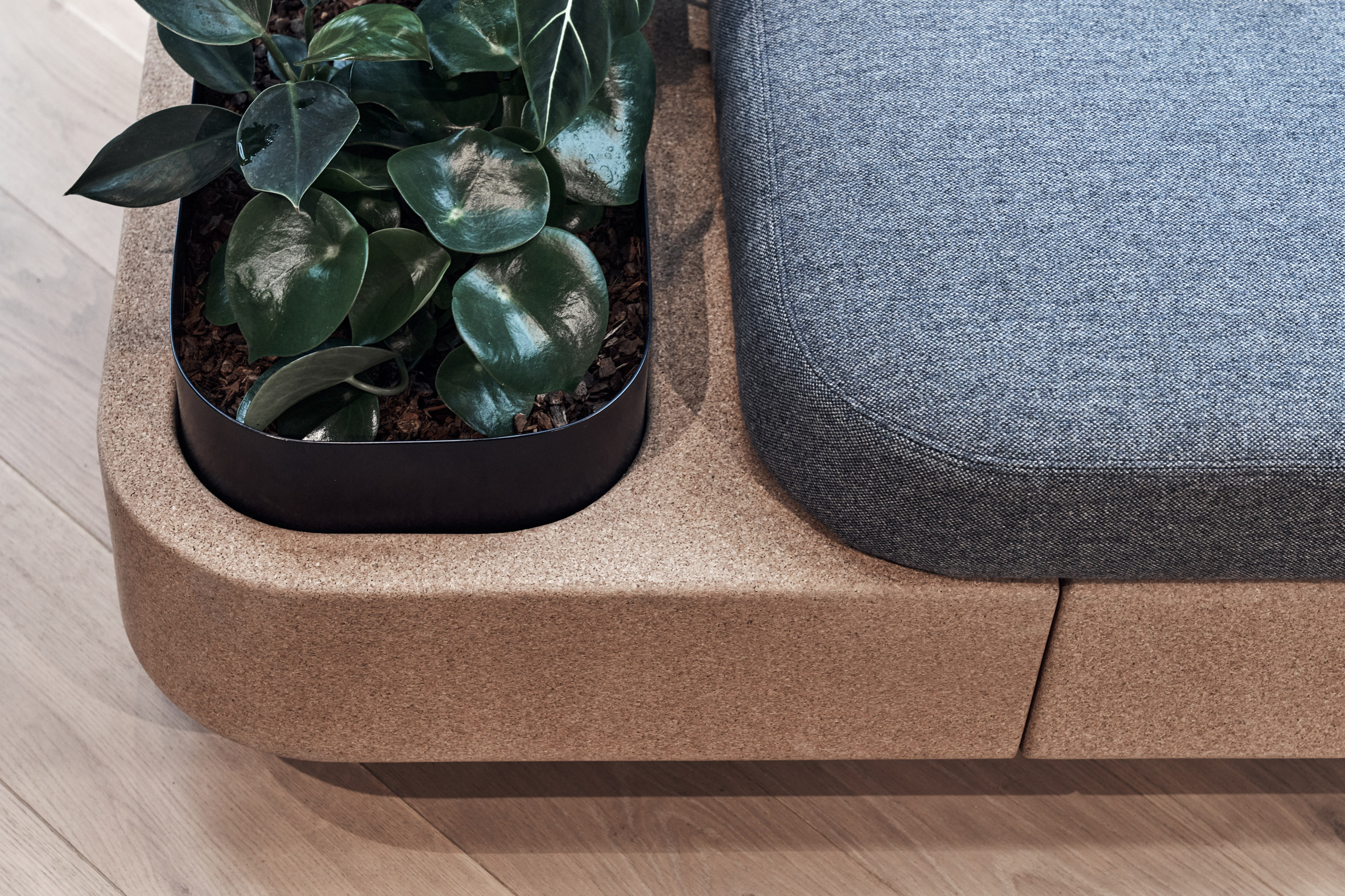 Close-up of planter on Tejo sofa by Paul Crofts for Isomi