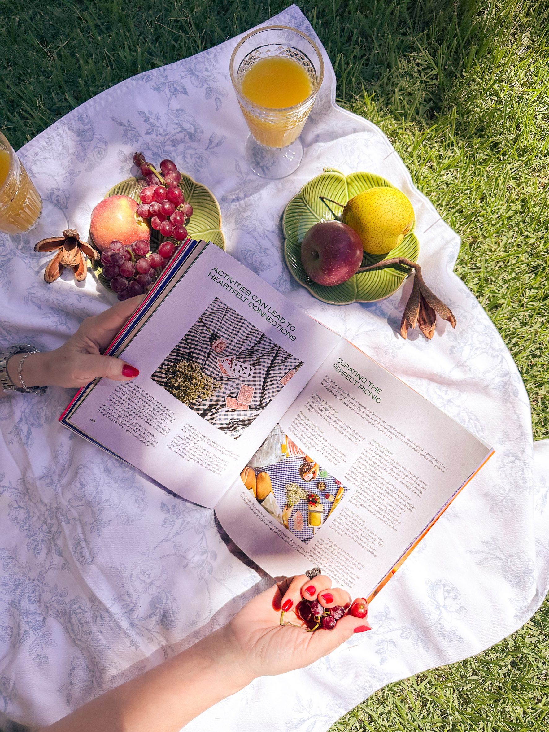 Hands holding a book on a picnic blanket