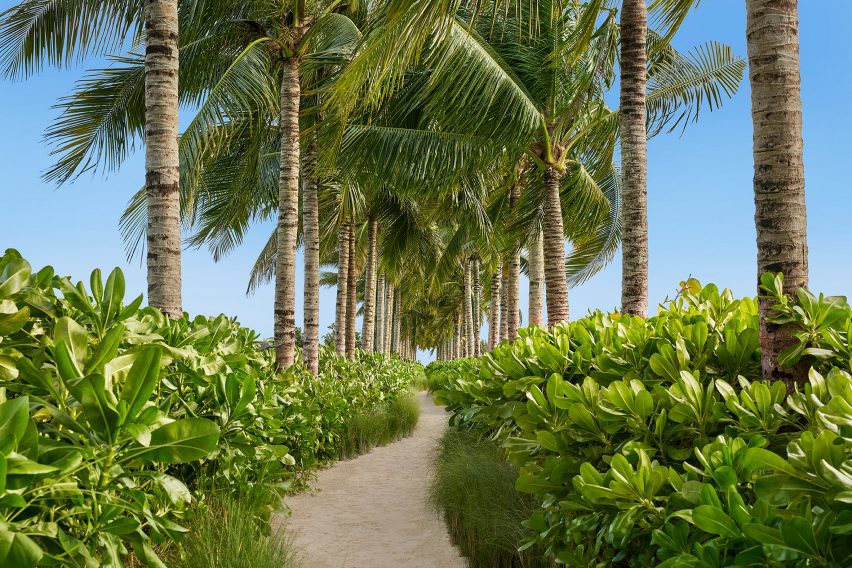 Sandy promenade flanked by palm trees