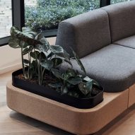 Close-up of planter on Tejo sofa by Paul Crofts for Isomi