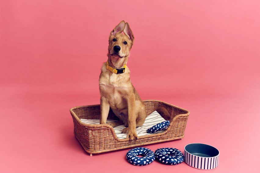 Dog sat on rattan bed for IKEA pet range