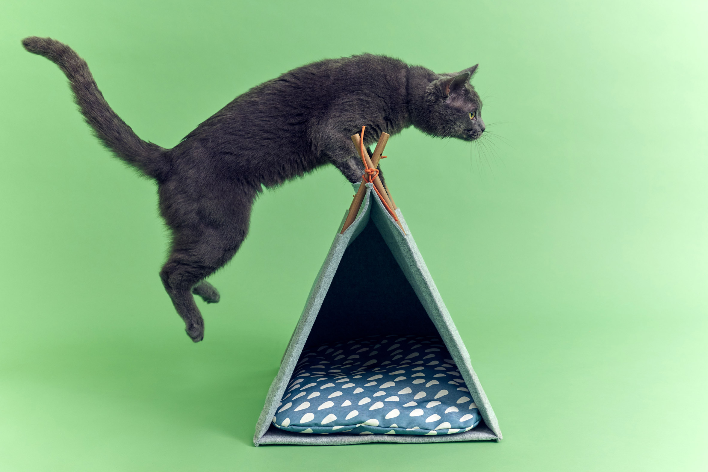 Pitched-roof cat bed from IKEA's pet range