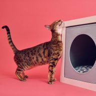 This week IKEA launched its first pet range