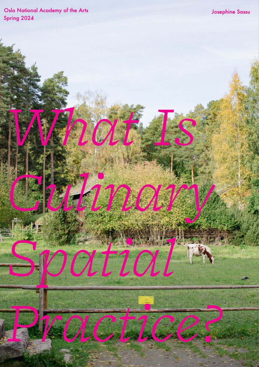 An image of a cow eating green grass surrounded by green trees and a blue sky, with the words 'what is culinary spatial practice?' displayed over it in pink.