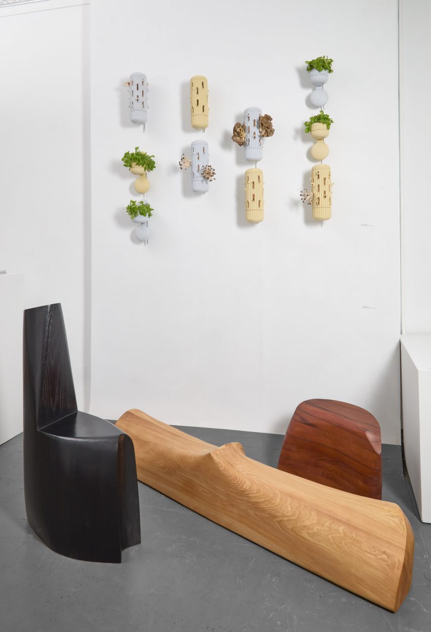 Wooden furniture with plants hanging on wall