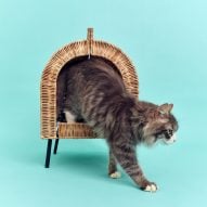 IKEA launches first pet range Utsådd for "eating, sleeping, playing and hiding"