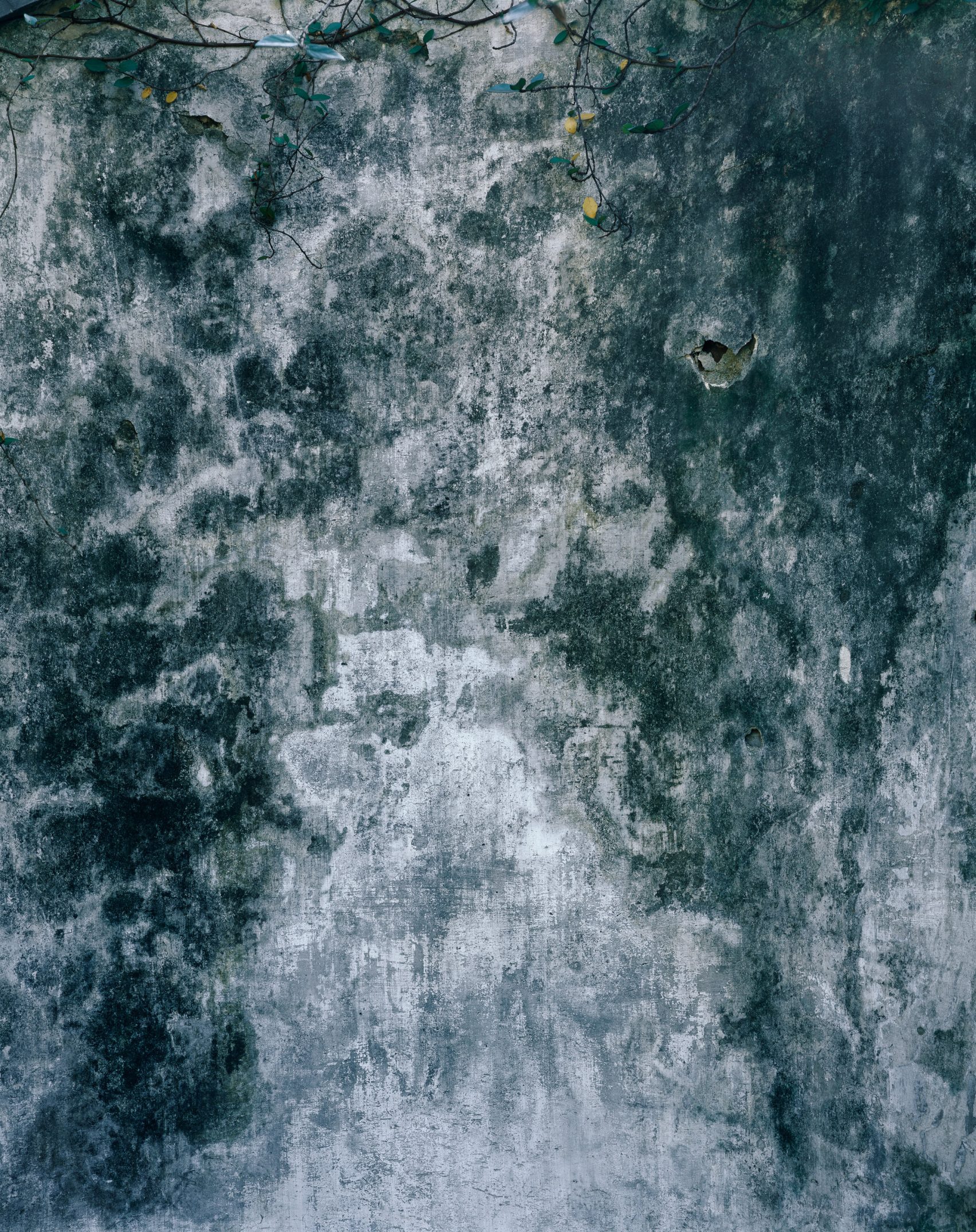 Ten Hélène Binet photographs that capture light and shadow in ...