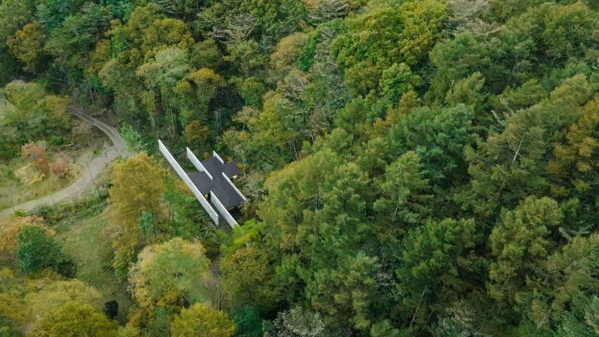 House in Japanese forest from above