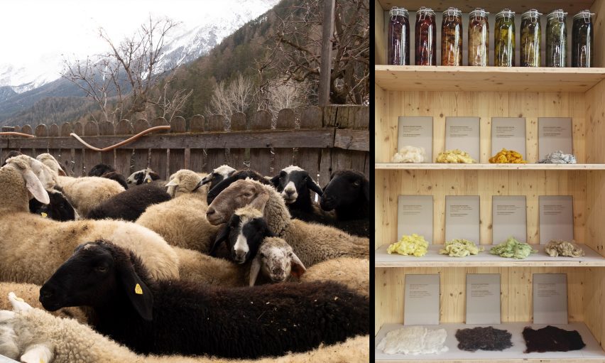 Two photographs adjacent to one another; the left showing a photograph of a group of black and brown sheep, the right showing a collection of dyed wool fabrics on wooden shelves.