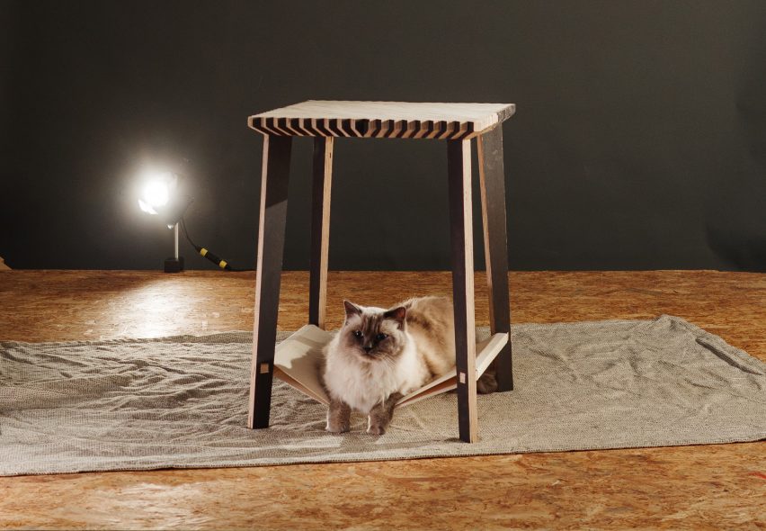 Slaaptafel pet furniture by Koen Fraijman