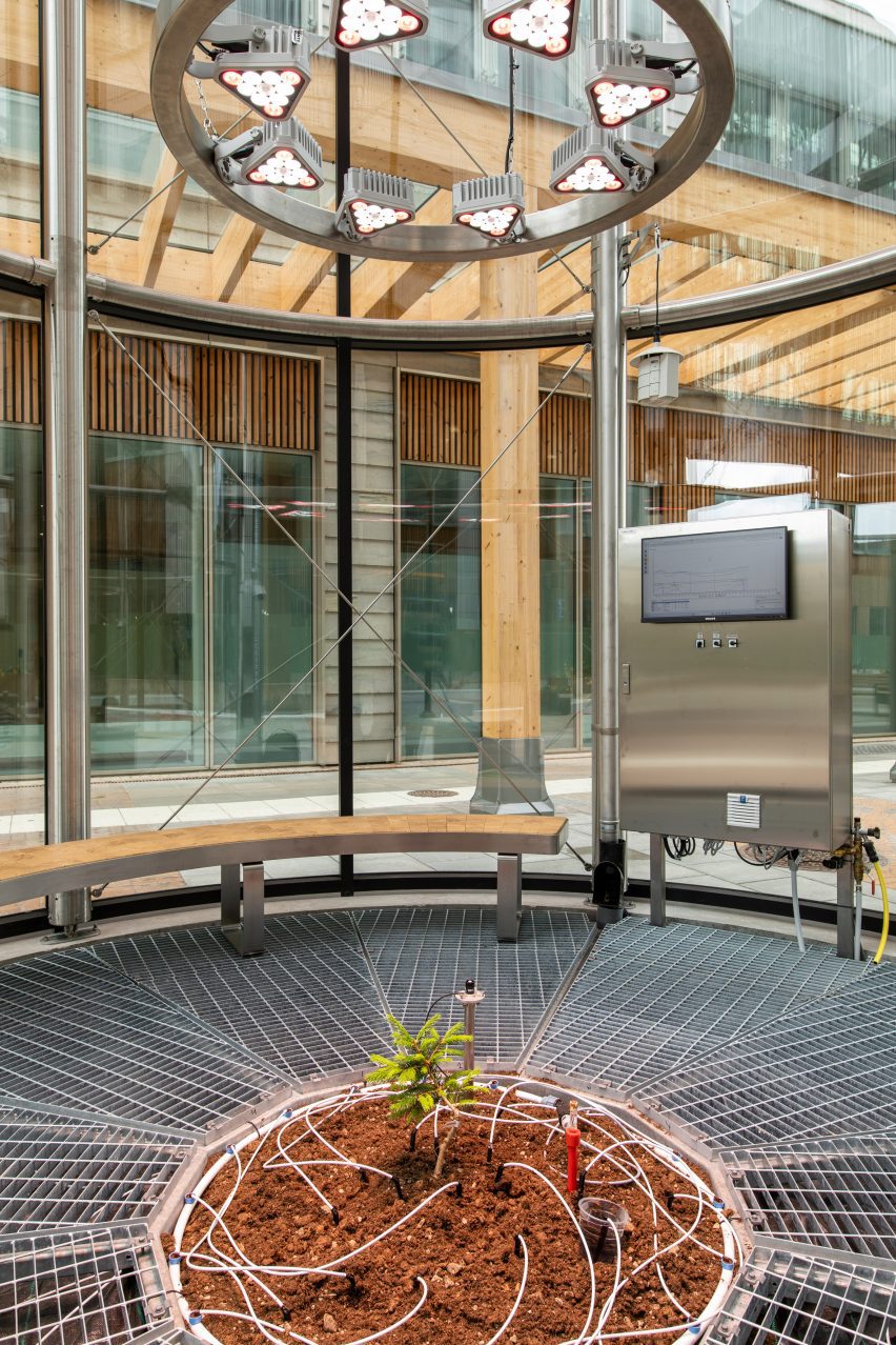 Sapling planted within chamber by Goldin+Senneby