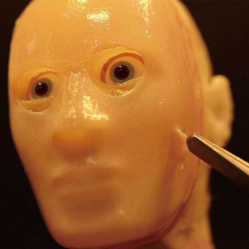 Living skin on 3D facial mould prototype by University of Tokyo researchers