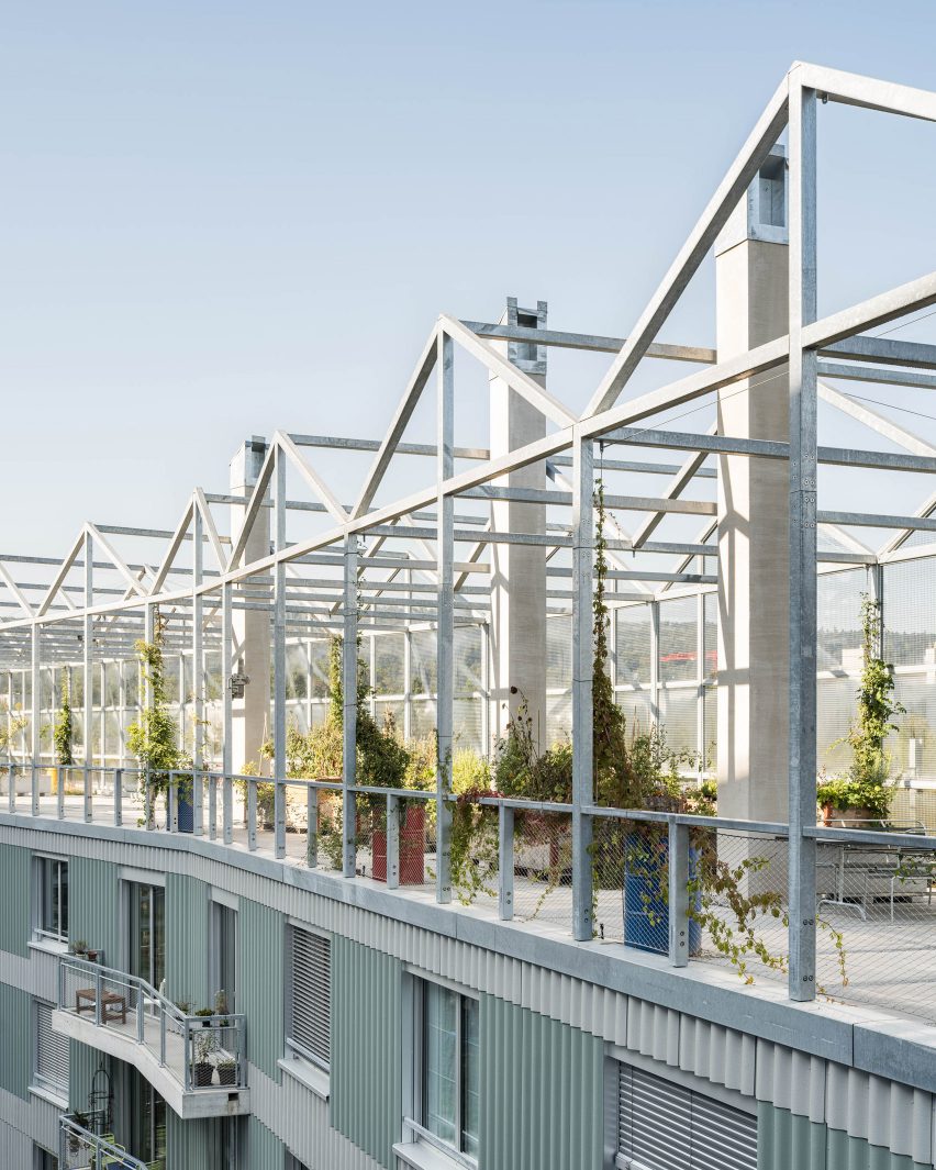 Housing block with pergola-like roofscape