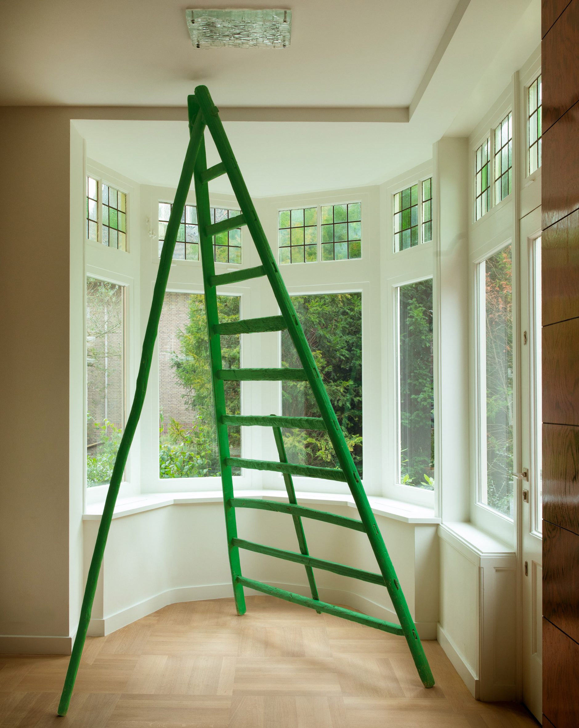 Lumpy green fruit-picking ladder