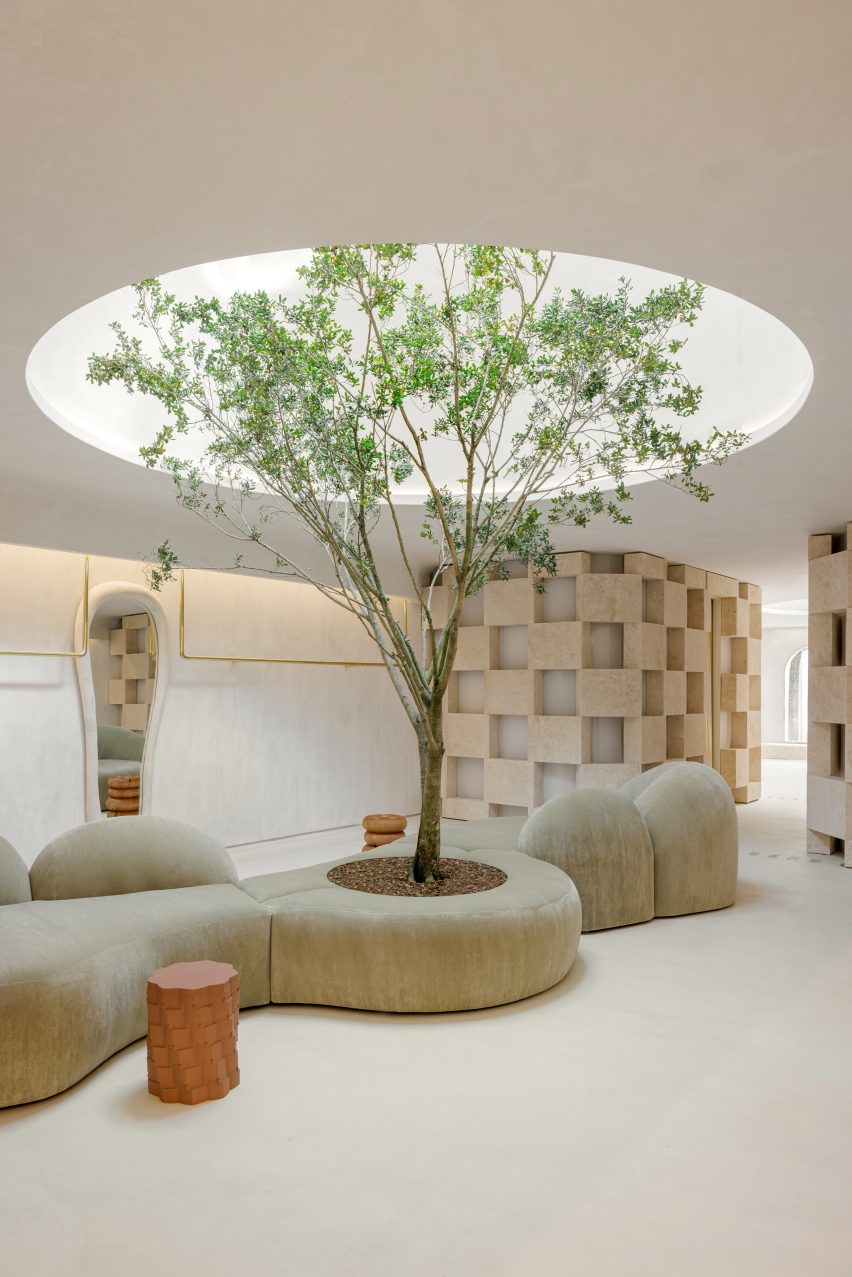 Banyan tree growing up through a large hole in a boutique's ceiling