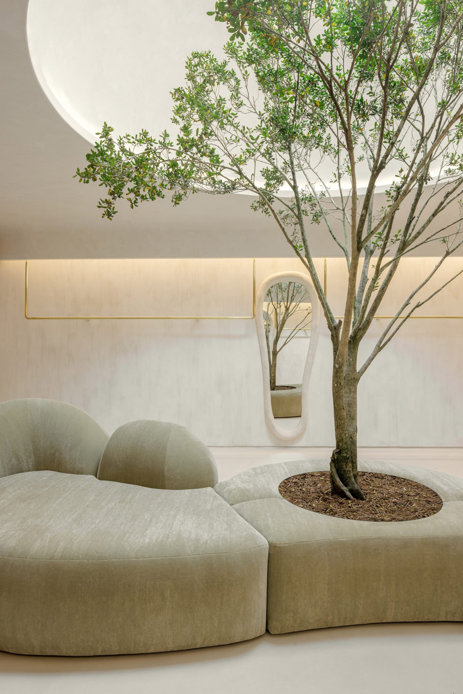 Sofa and tree in front of a plaster wall and brass clothing rails
